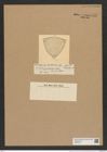 Triceratium favus Ehr. (de-Toni-Nr.: Genus 140, Species 3706) Zeichnungen Sammlung Grunow Nr. 7188 (NHMW-BOT-W0376170)